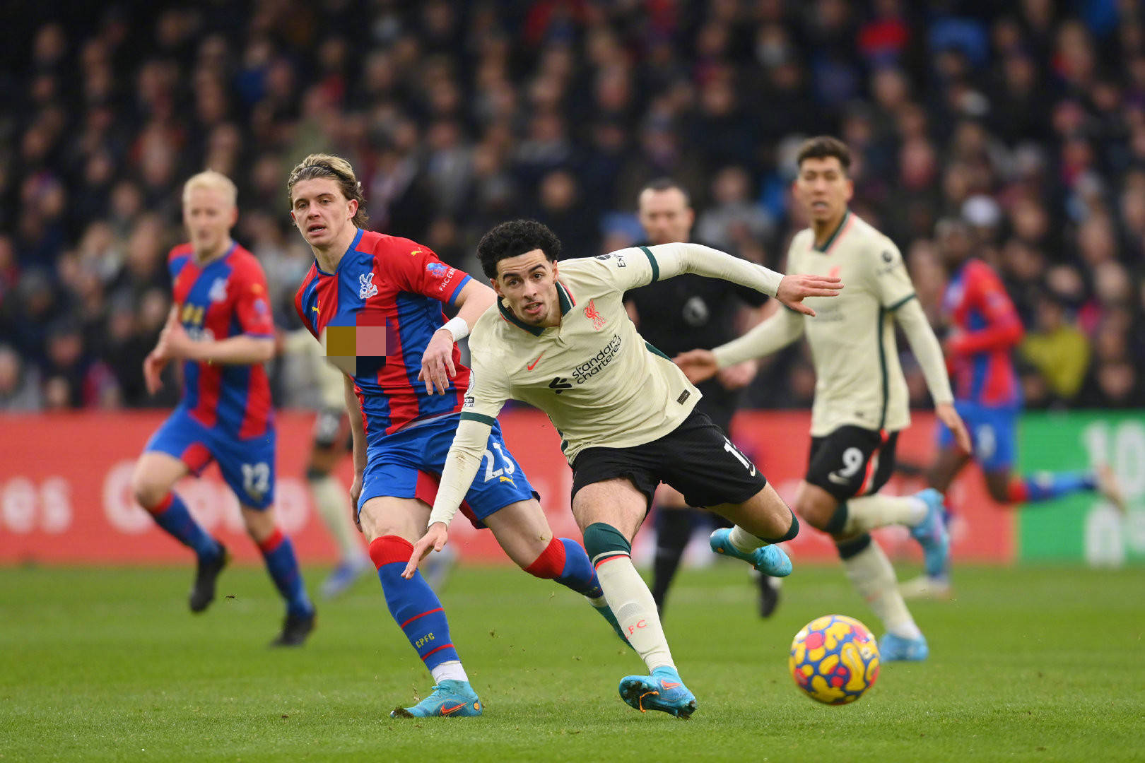 中面对一支 中面对一支